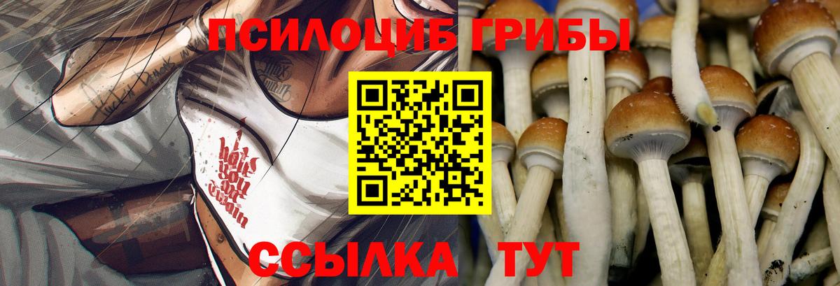 как найти закладки  Псилоцибиновые грибы Magic Shrooms  Вход с VPN  Вышний Волочёк 